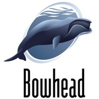 Bowhead logo